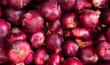 Onion-Egypt-fresh-1