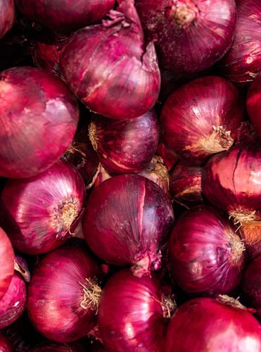 Onion-Egypt-fresh-1
