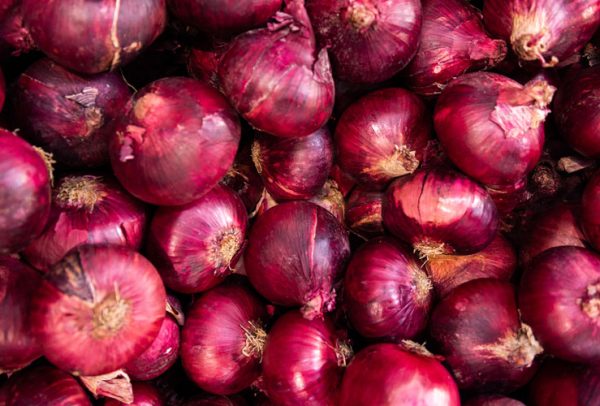 Onion-Egypt-fresh-1 Onion-Egypt-fresh-1
